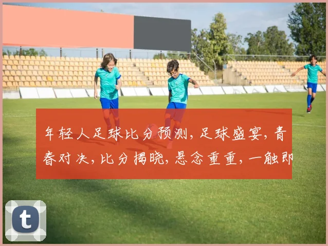年轻人足球比分预测,足球盛宴,青春对决,比分揭晓,悬念重重,一触即发,谁将问鼎
