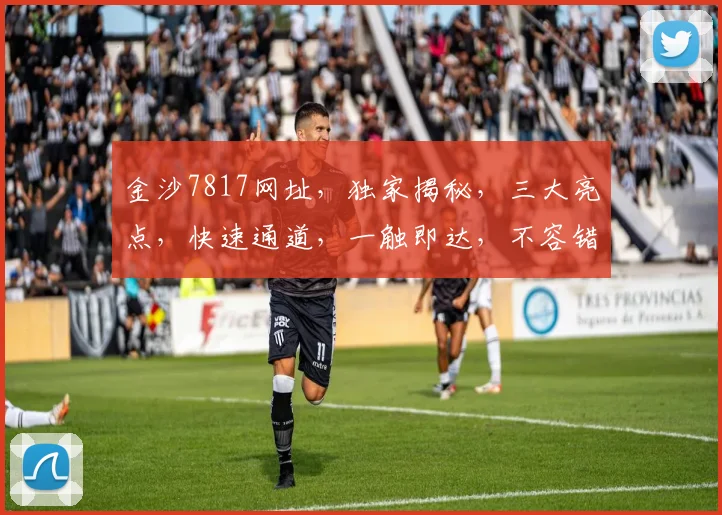 金沙7817网址，独家揭秘，三大亮点，快速通道，一触即达，不容错过